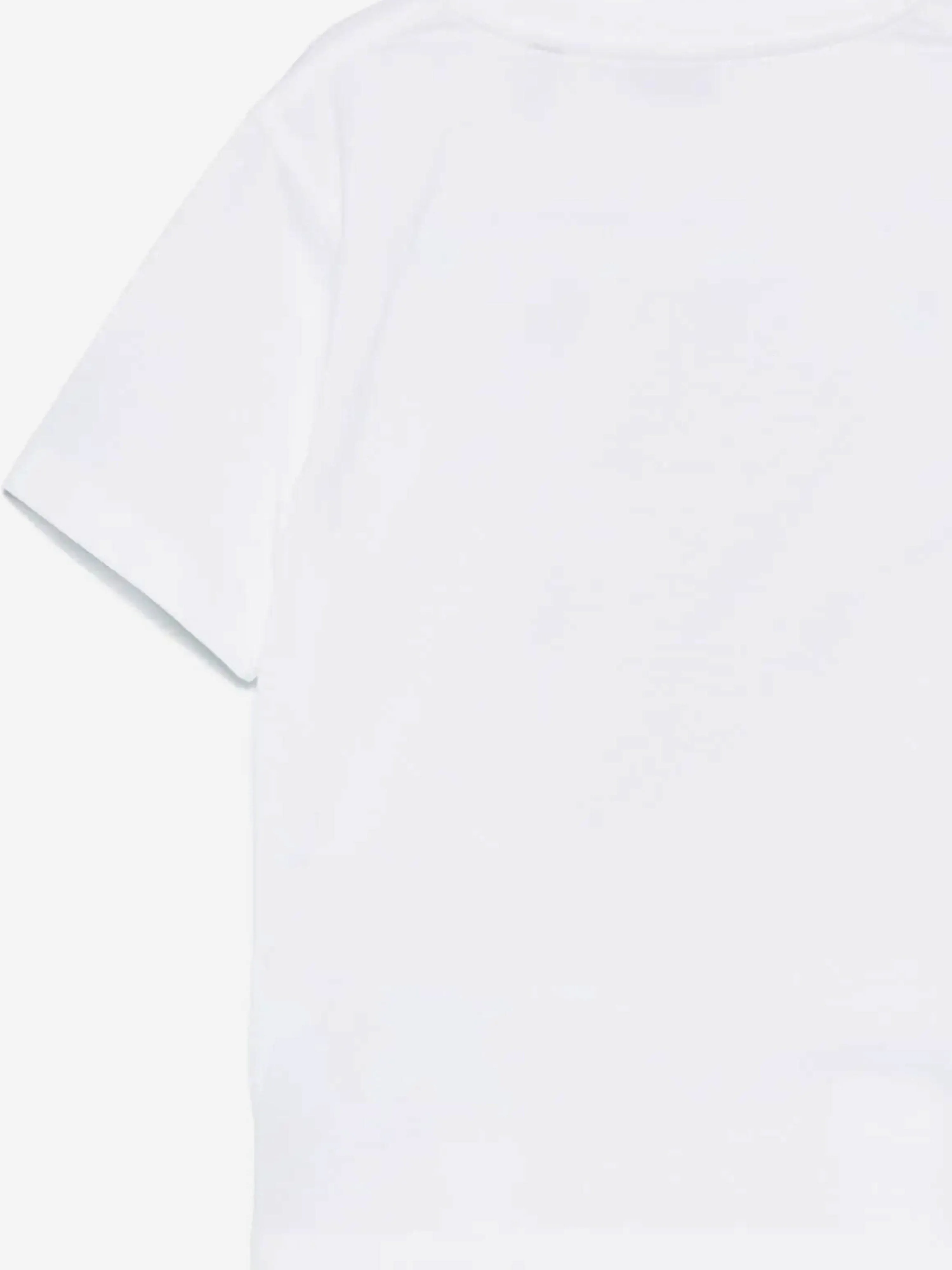 Burberry Kids Zedernbär Flaggen T-Shirt in Elfenbein