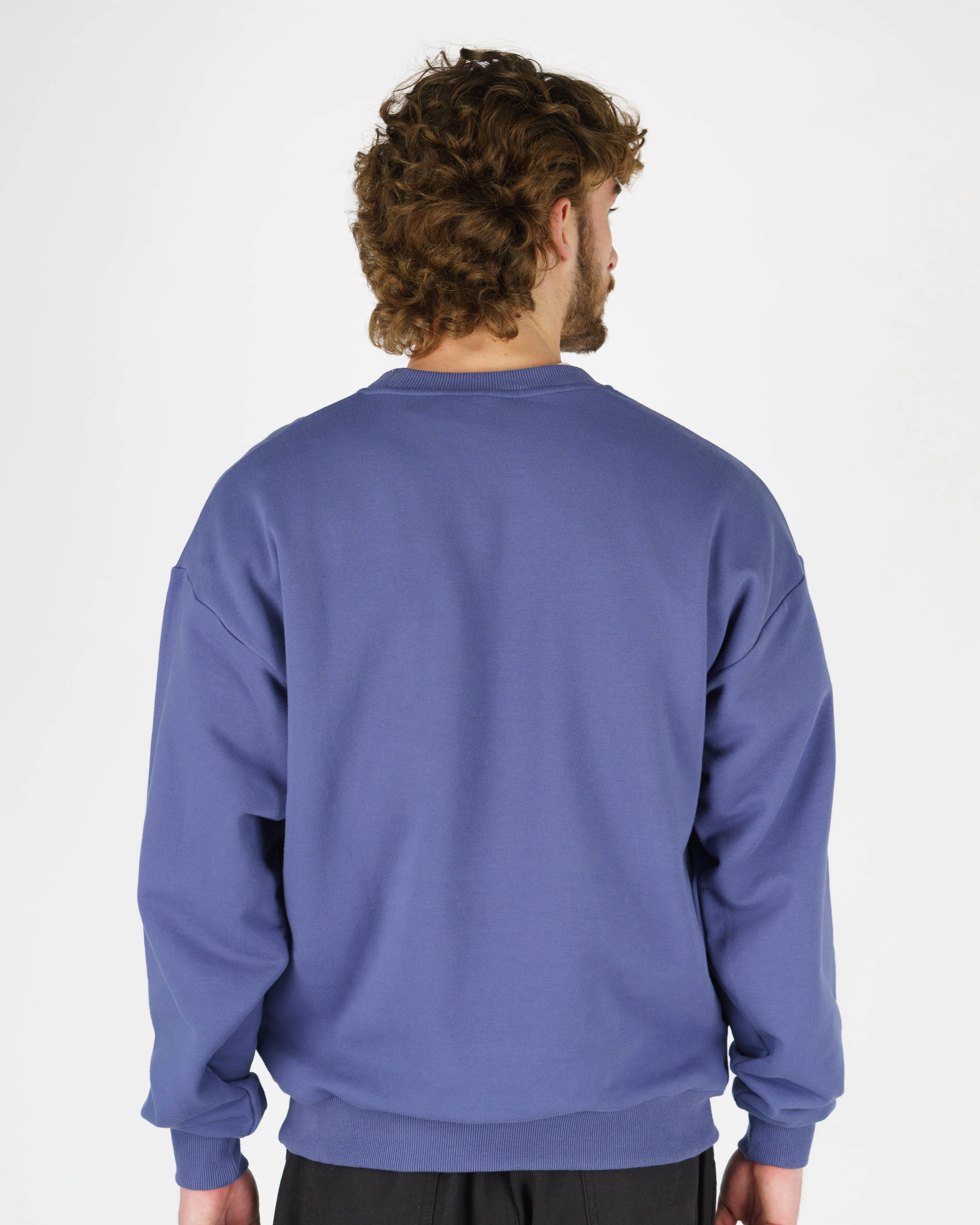 Dandy Langarm-Pullover mit Rundhalsausschnitt - Blau