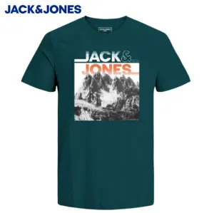 Jack & Jones Alfie T-Shirt Grün