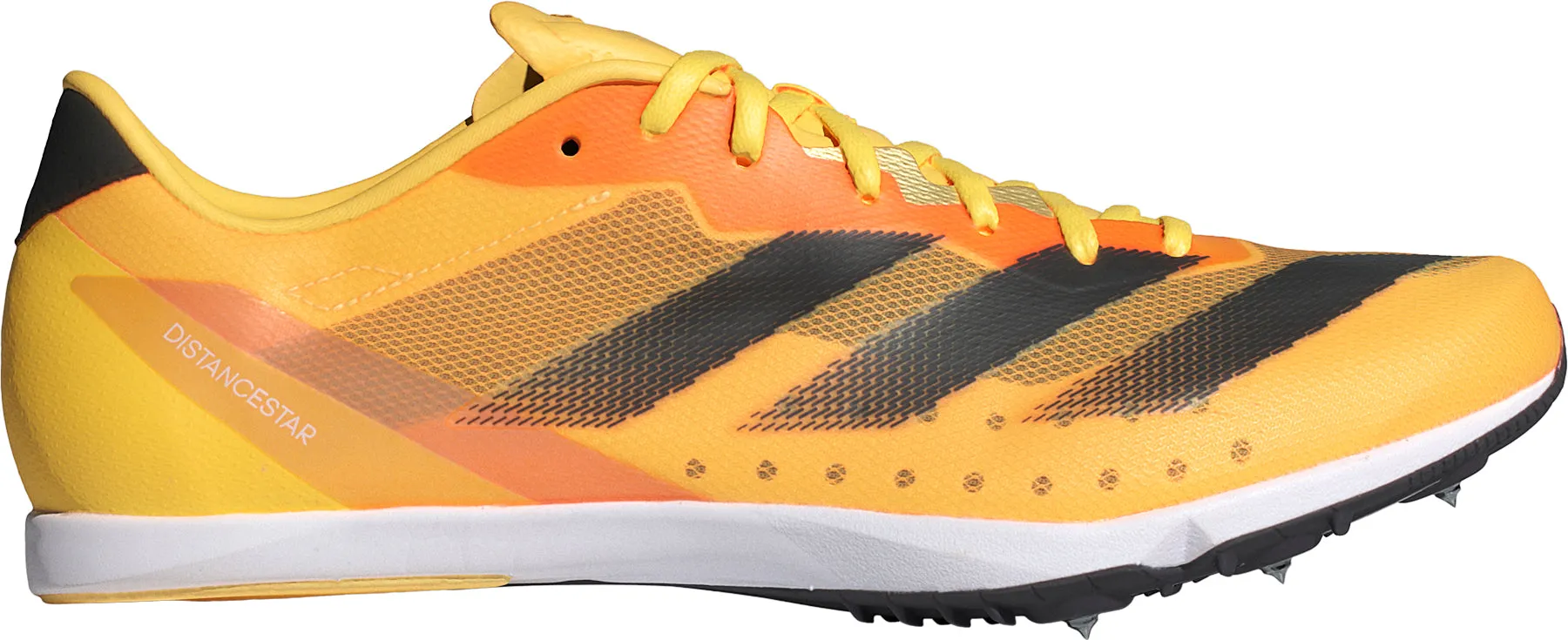 Schuhe Adidas Fußbekleidung Herren adidas Distancestar Laufspikes - Orange