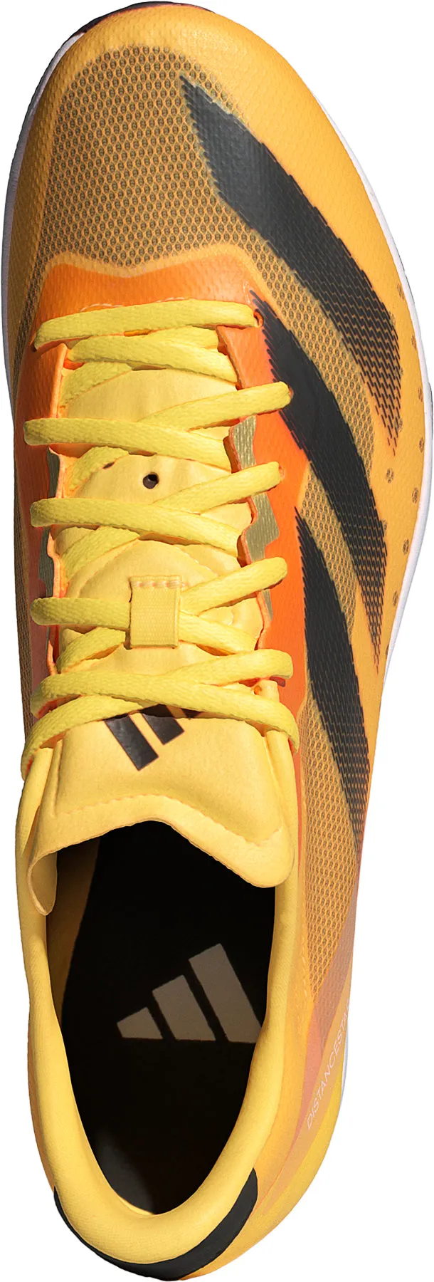 Schuhe Adidas Fußbekleidung Herren adidas Distancestar Laufspikes - Orange